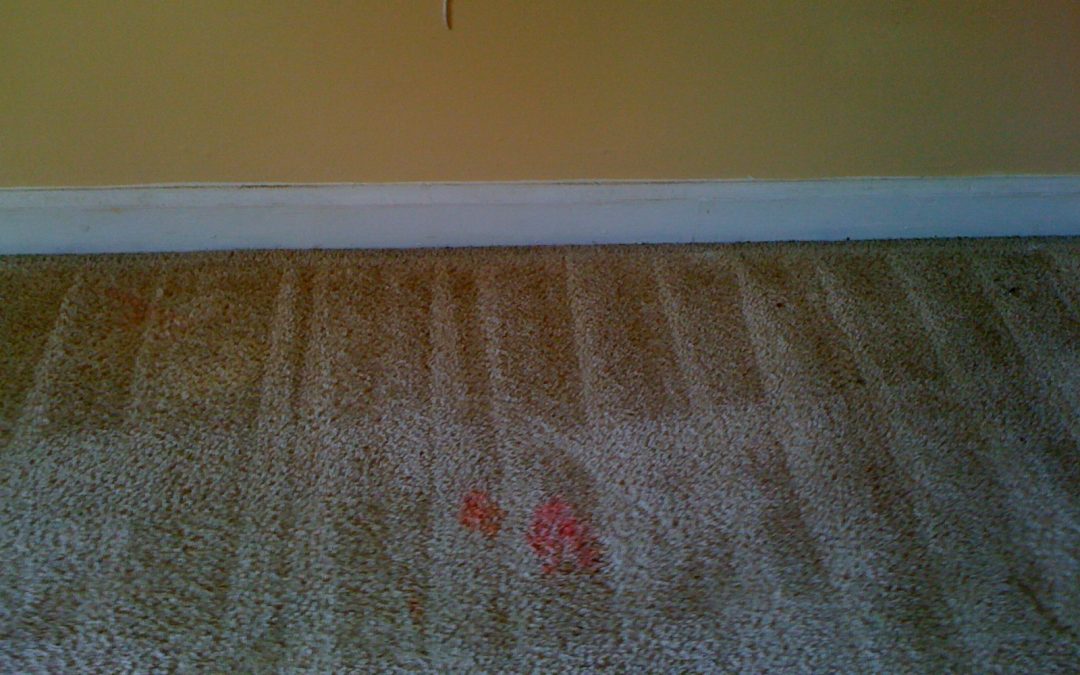Memphis Red Stain Removal