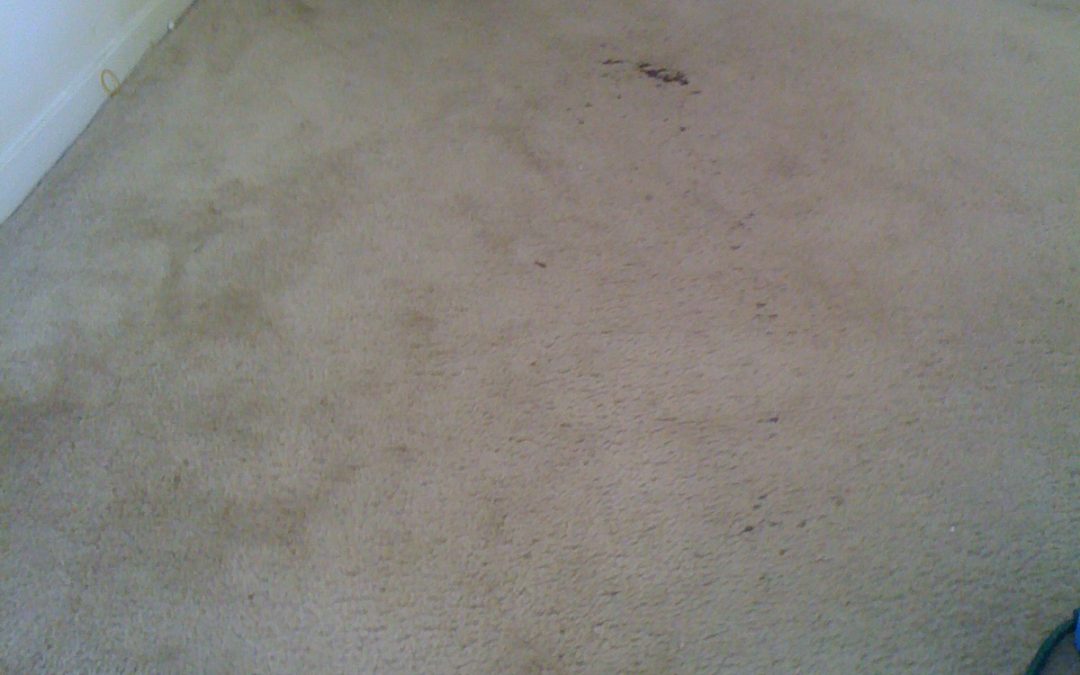 Memphis Carpet Grease Burn Repair