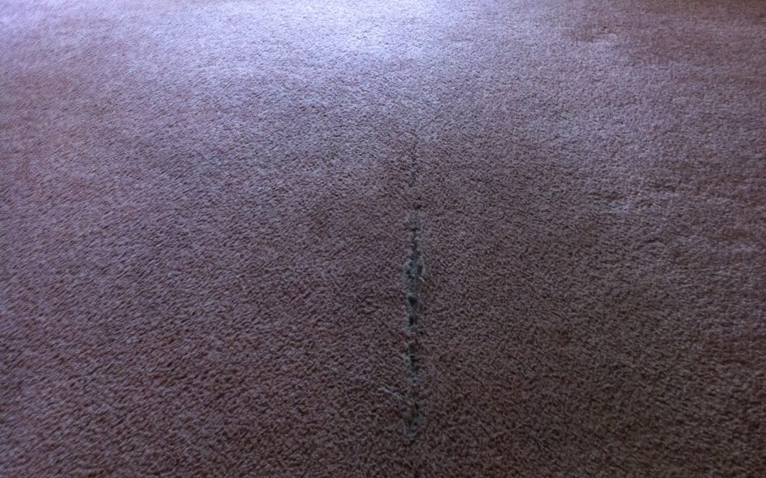 Memphis Carpet Seam Repair