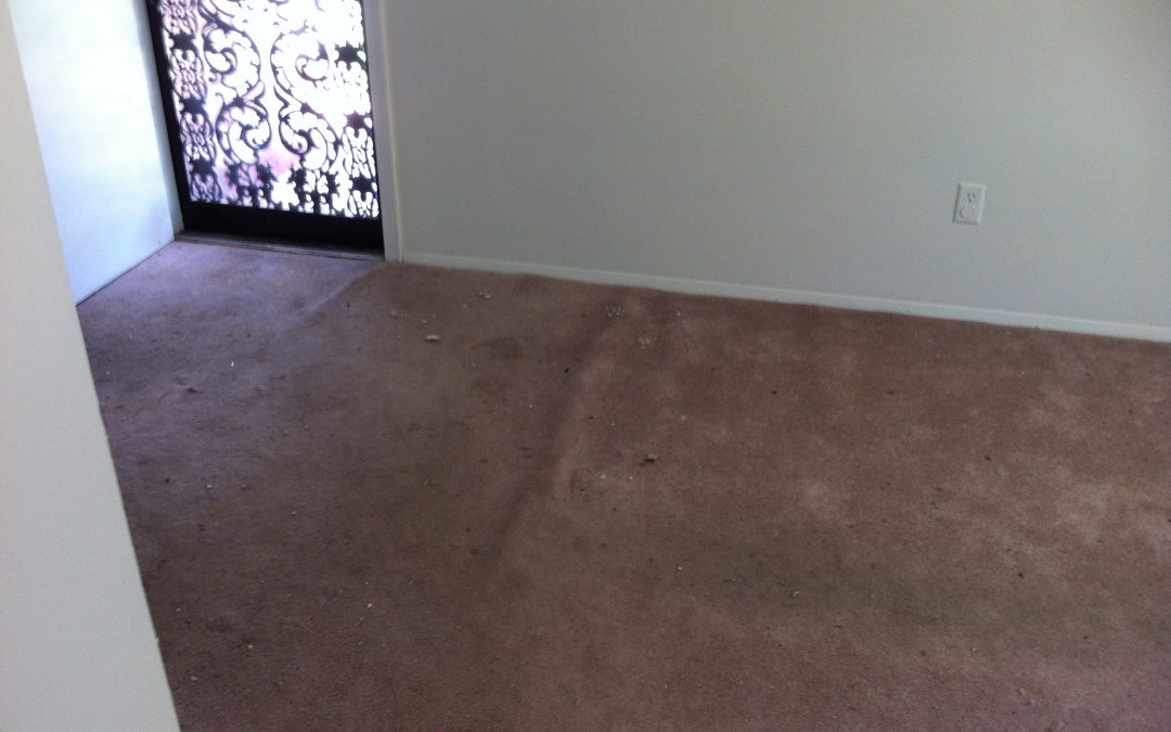 Carpet Re-Stretch in Memphis Rental