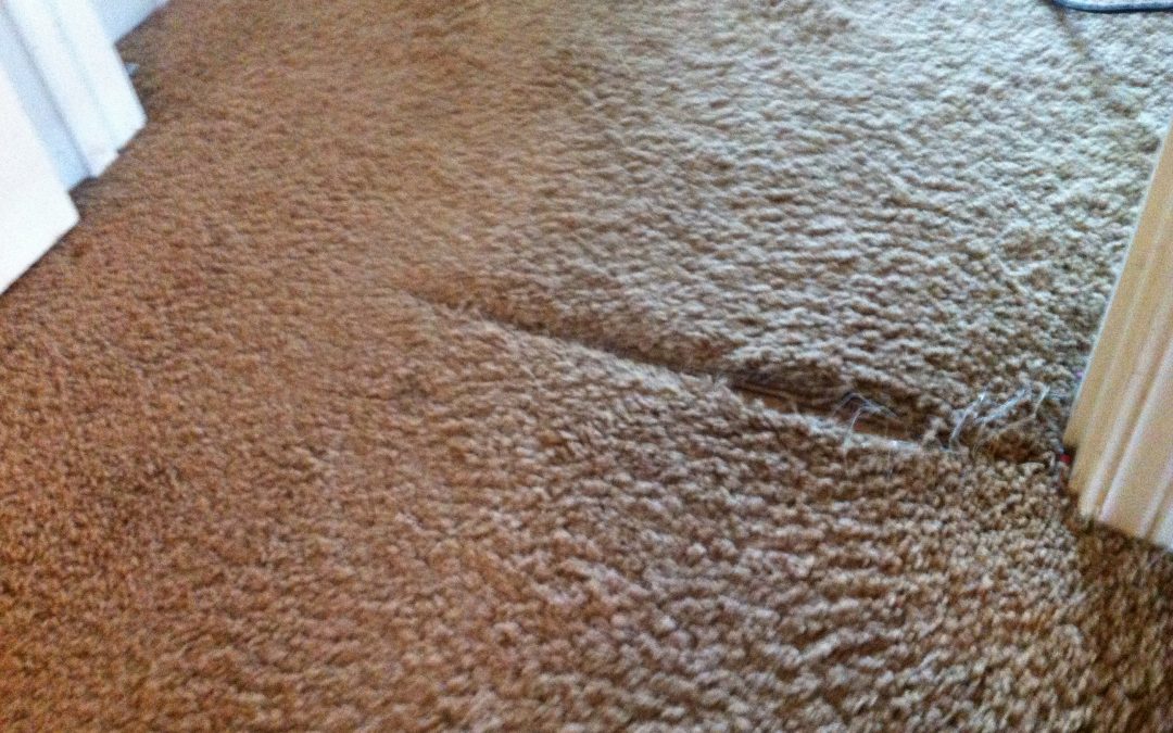 Atoka, Tn Carpet Repair