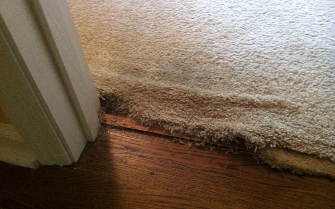 Memphis Carpet Transition Repair